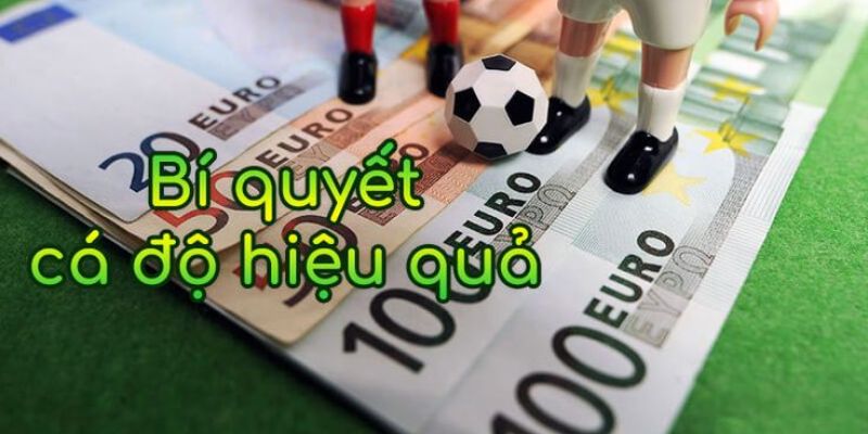 Tổng quan giới thiệu sảnh chơi Thể Thao Kubet88.